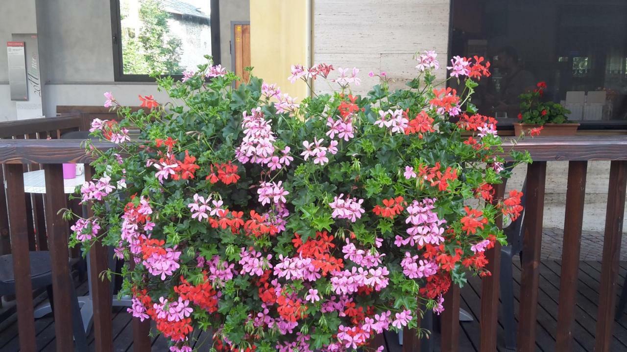 Vico Canavese Albergo Ristorante Centro المظهر الخارجي الصورة