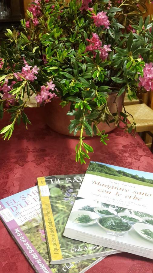 Vico Canavese Albergo Ristorante Centro المظهر الخارجي الصورة