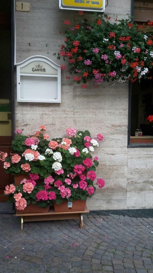 Vico Canavese Albergo Ristorante Centro المظهر الخارجي الصورة